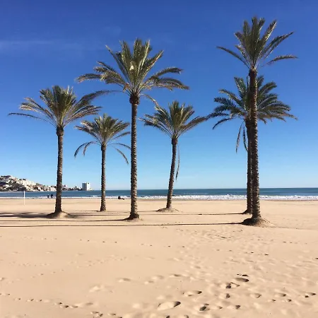 Don Quijote Cabanal * 쿠엘라